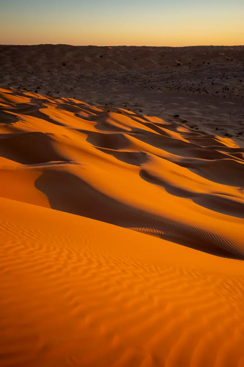 Tunisian desert beauty