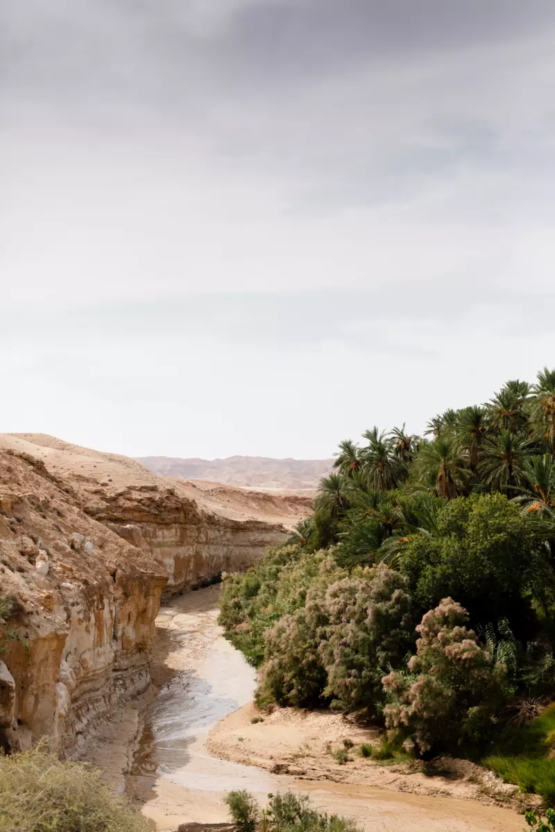 discover the beauty of touzer with bonheur voyage travel agency