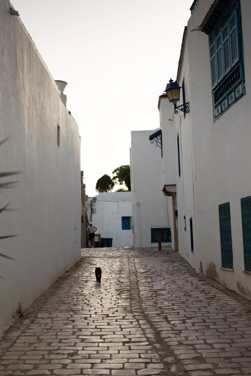Sidi bousaid tour with bonheur voyage